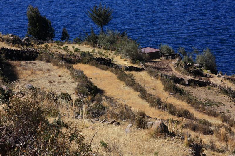820-Lago Titicaca,isola di Taquile,13 luglio 2013.JPG